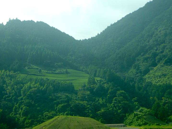 新東名高速