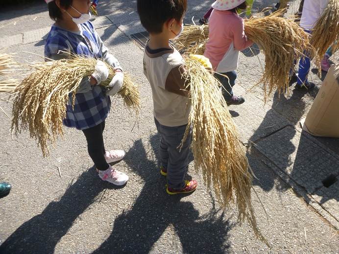 藤蔭幼稚園