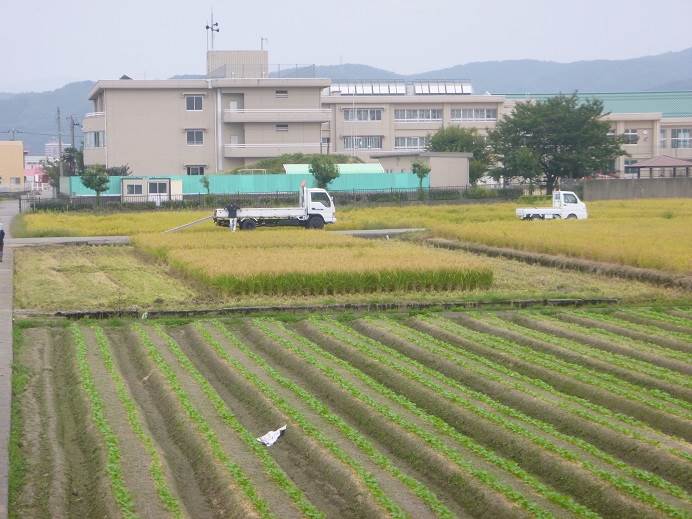 藤陰幼稚園＆白銀幼稚園