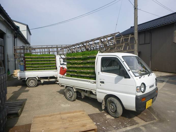 富陽田植え