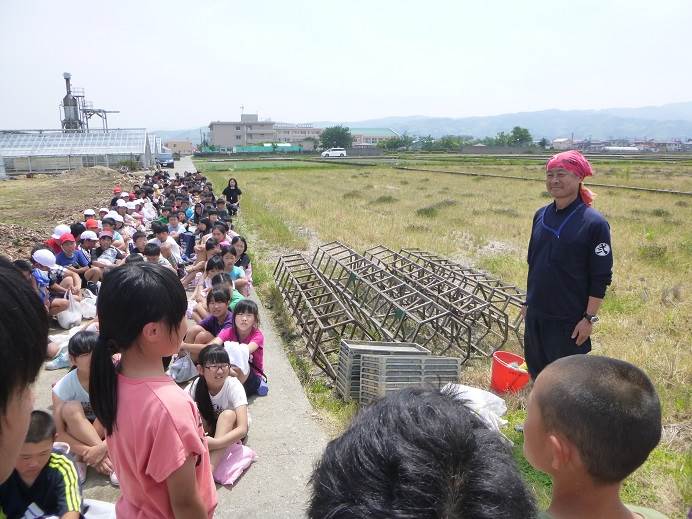 富陽田植え