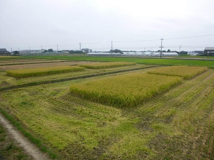 富陽小学校