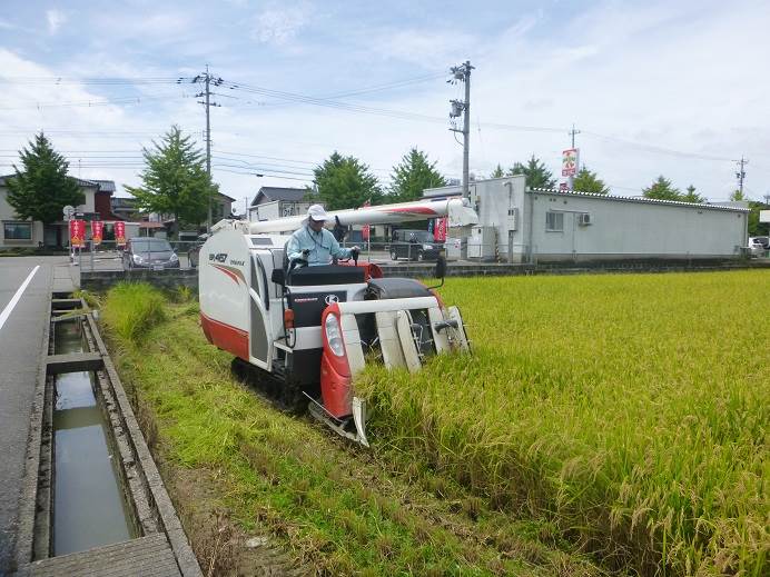 ハナエチゼン