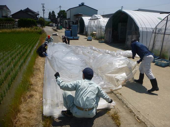 ハウス片付け