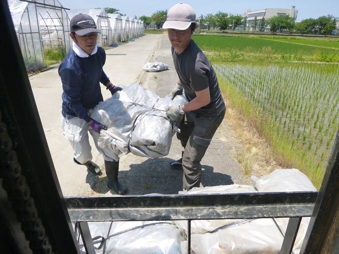 ハウス片付け