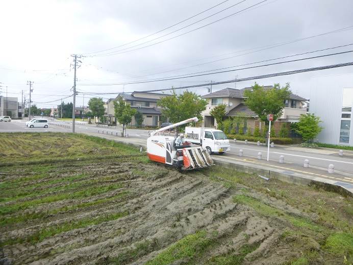 ひとめぼれ