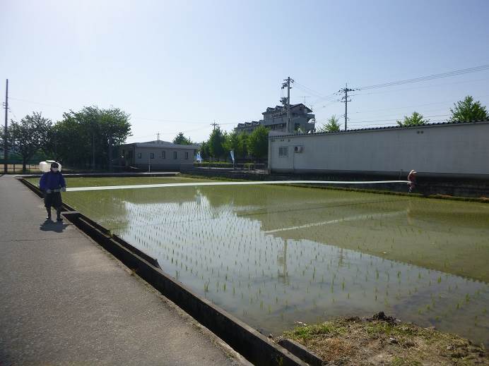 除草剤散布