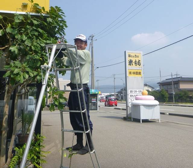 栗山造園