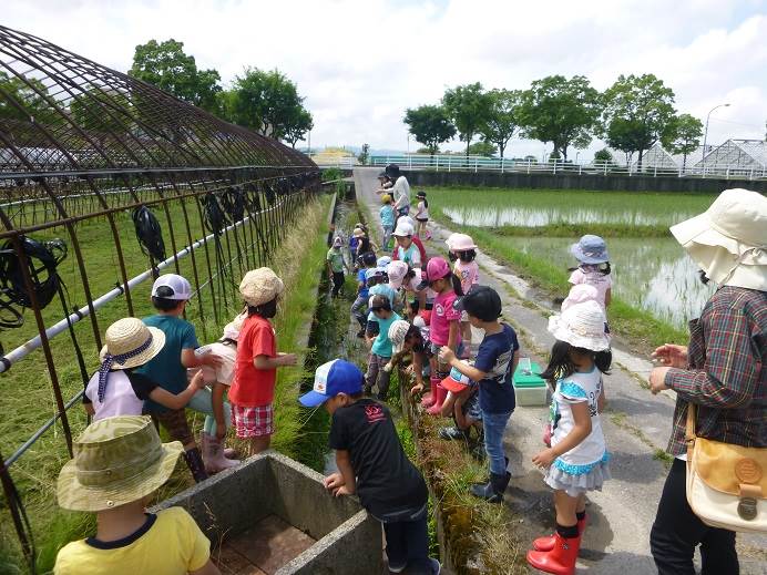 扇が丘幼稚園