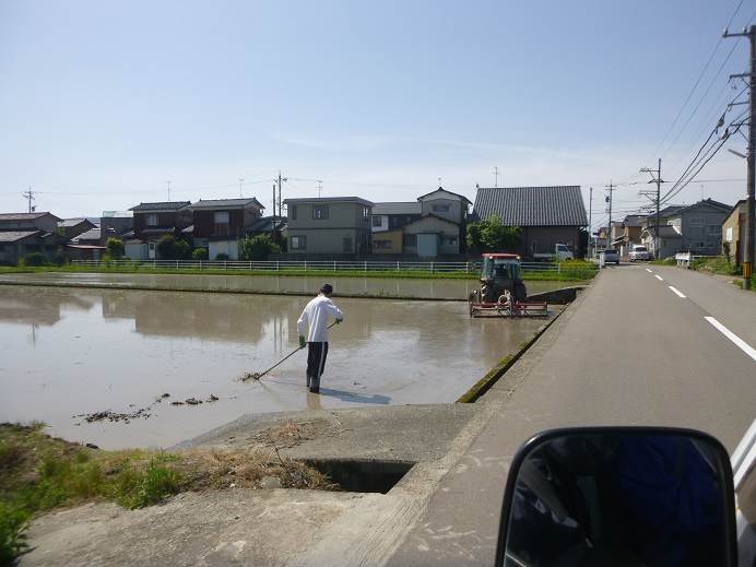 代掻き