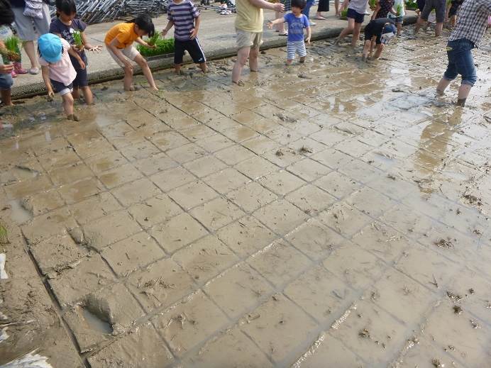 白銀幼稚園