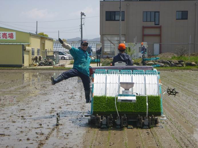 田植え