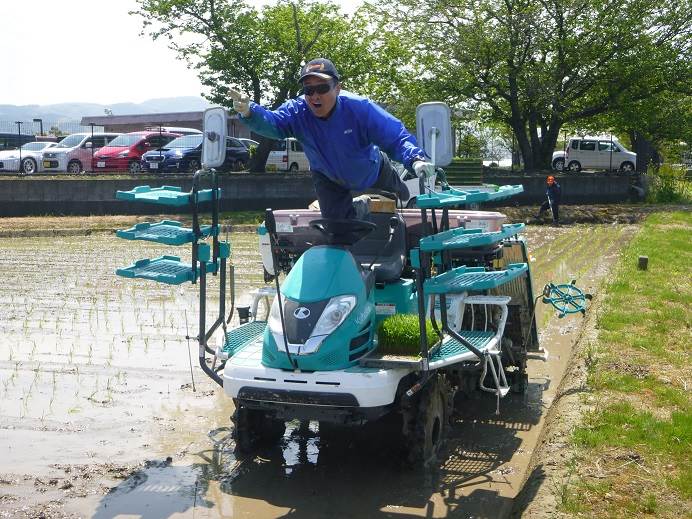 田植え