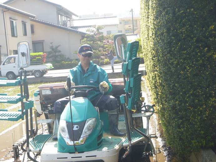 田植え