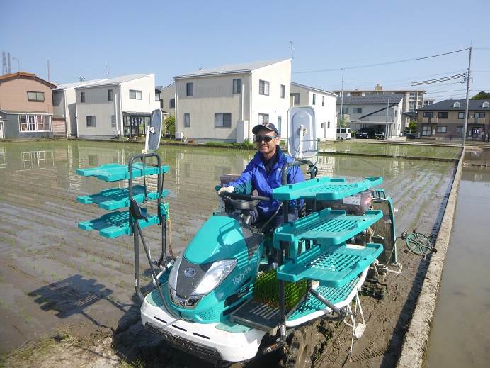 田植え