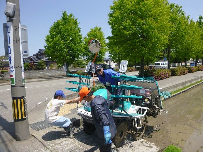 田植え