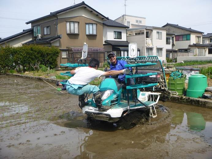 田植え