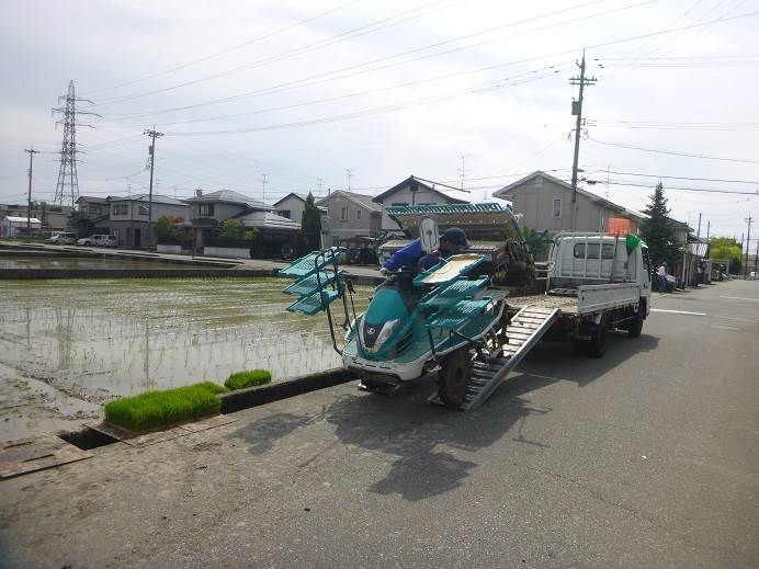 田植え