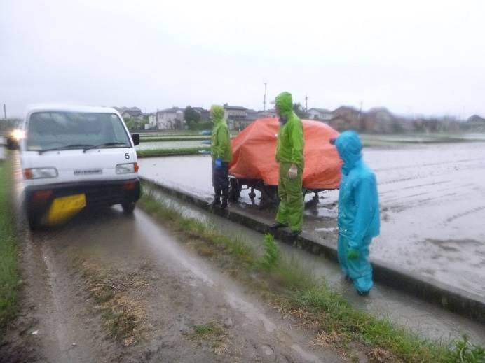 田植え