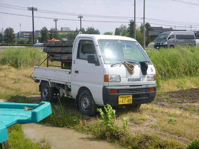 田植え