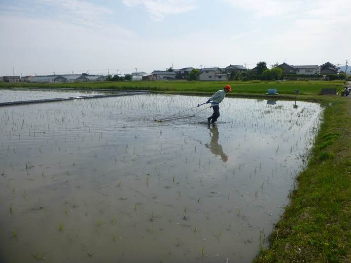 チェーン除草