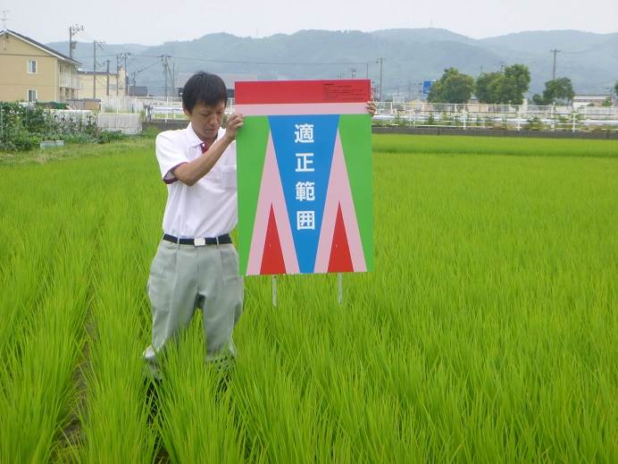 田んぼ回り