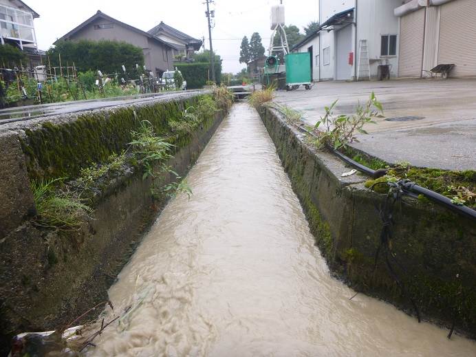 用水