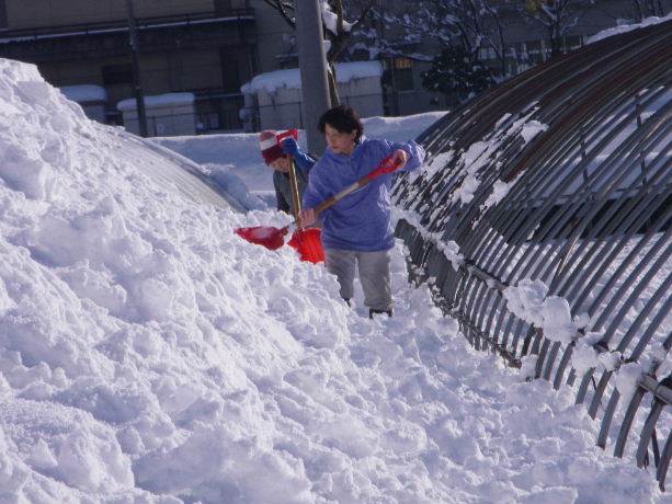 大雪の場合