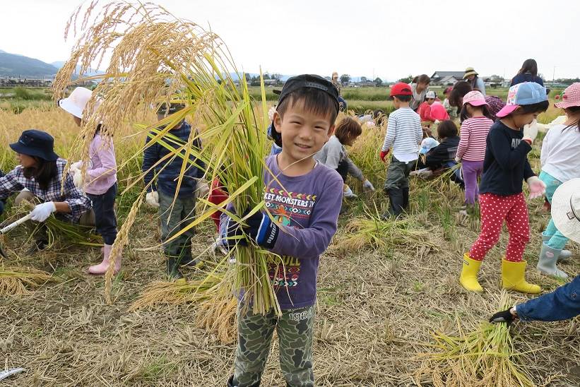 藤蔭幼稚園