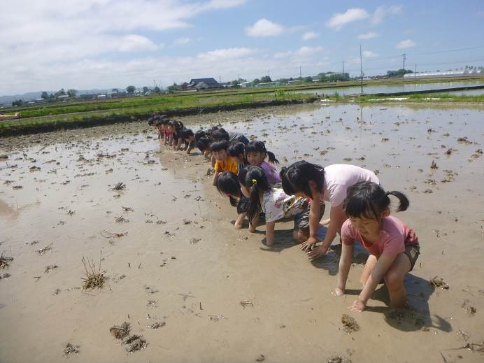 藤蔭幼稚園