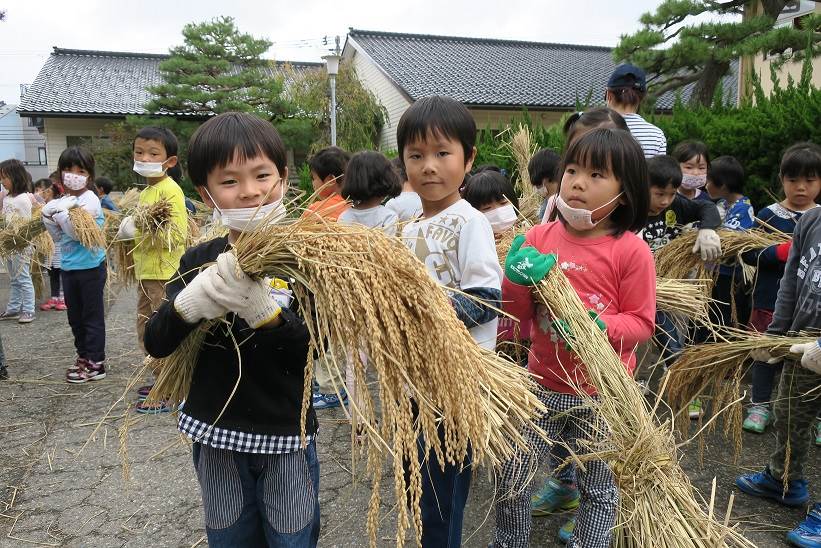 藤蔭幼稚園