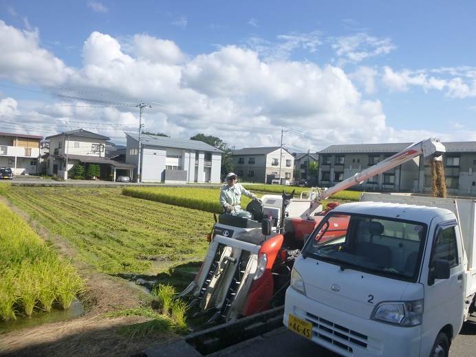 ハナエチゼン