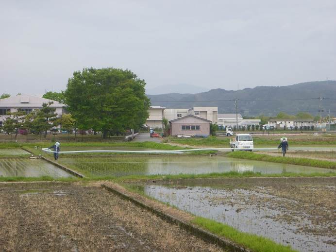 除草剤