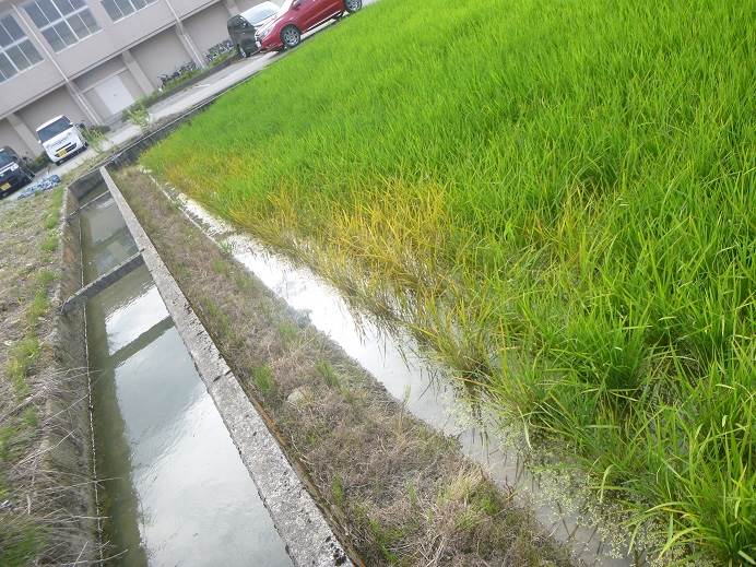 除草剤