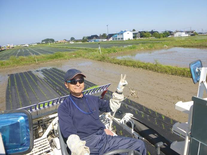 紙マルチ田植え