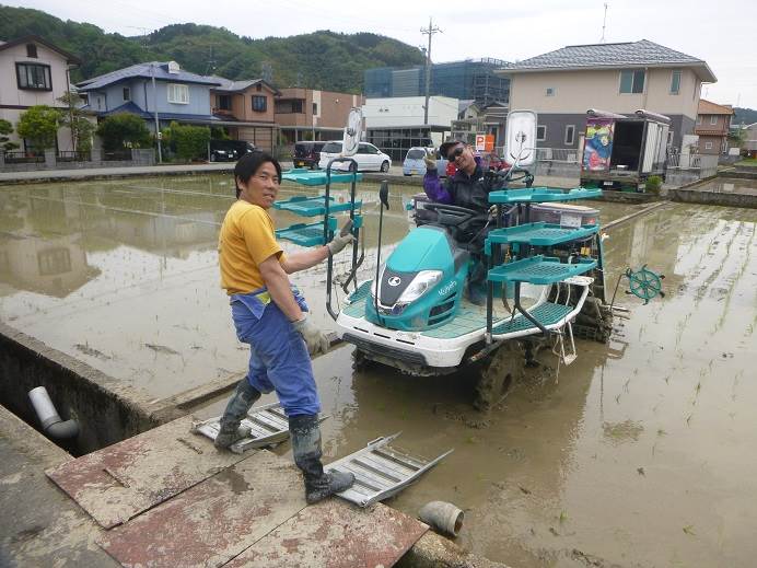 田植え