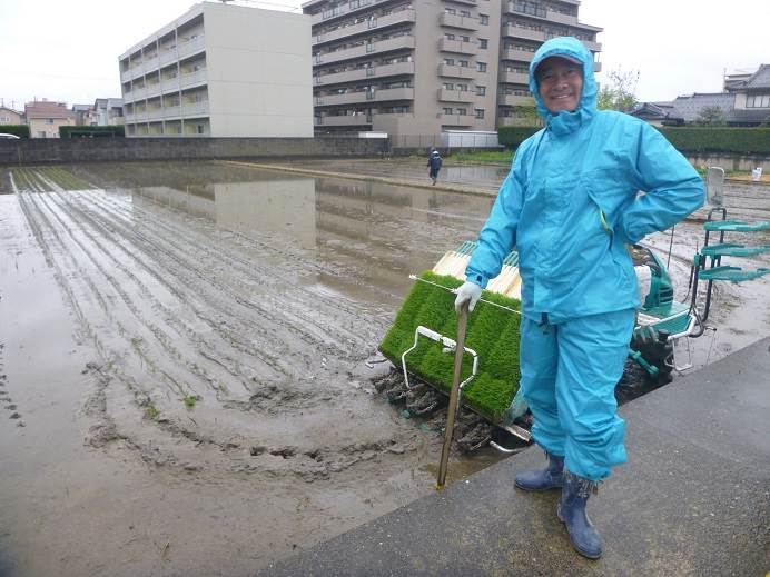 田植え