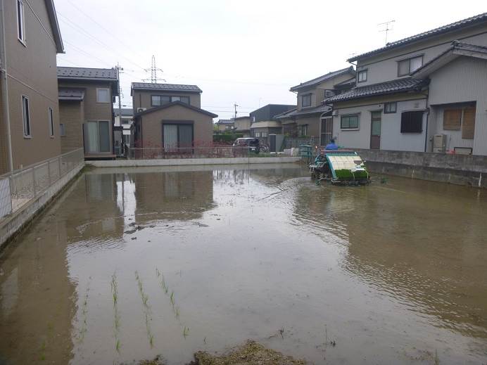 田植え