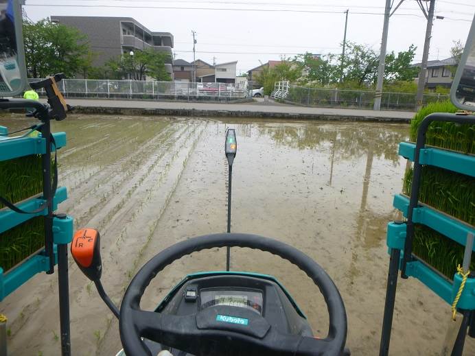 田植え