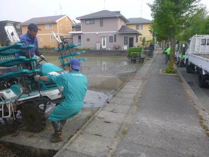 田植え