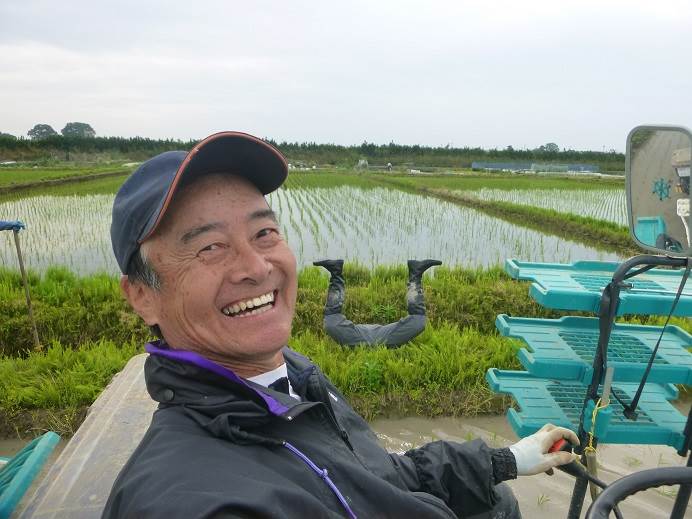 田植え