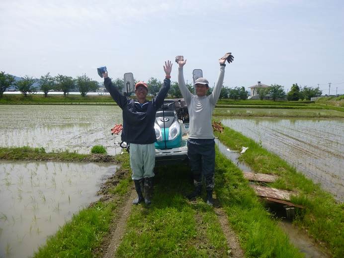 田植え