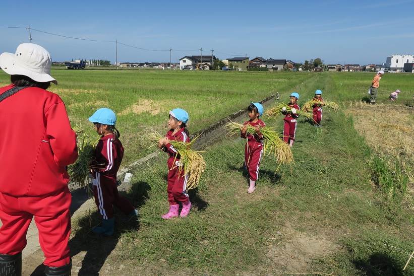 とくの幼稚園