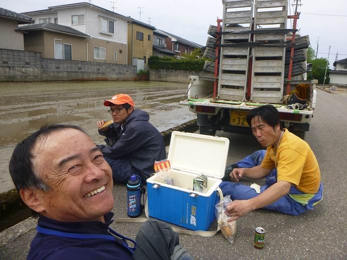 田植え