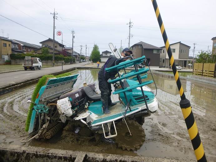 田植え