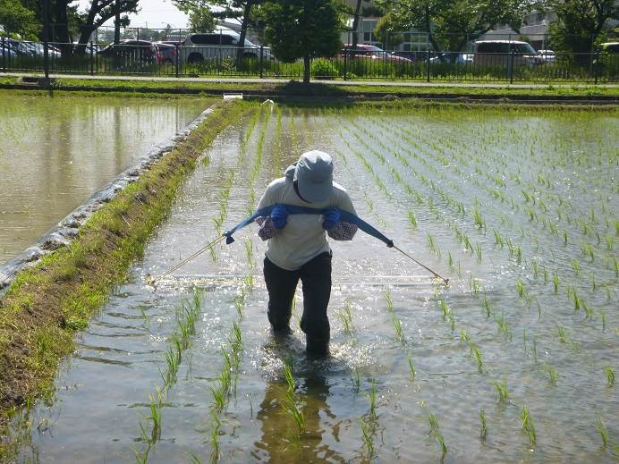 チェーン除草