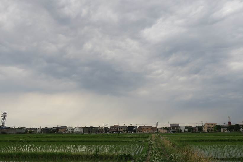 雨