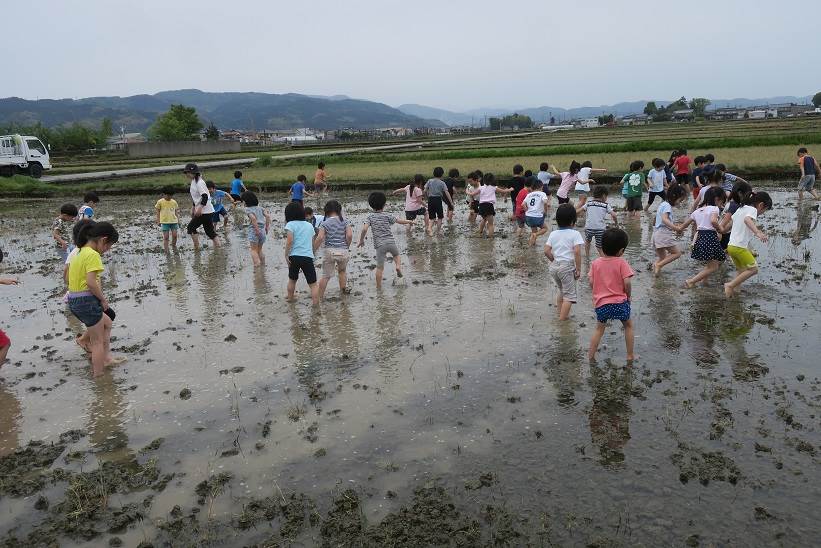 藤陰幼稚園