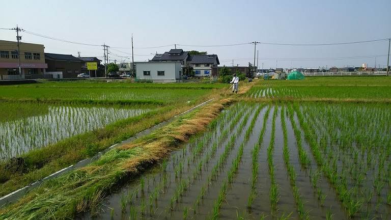 藤平地区草刈り