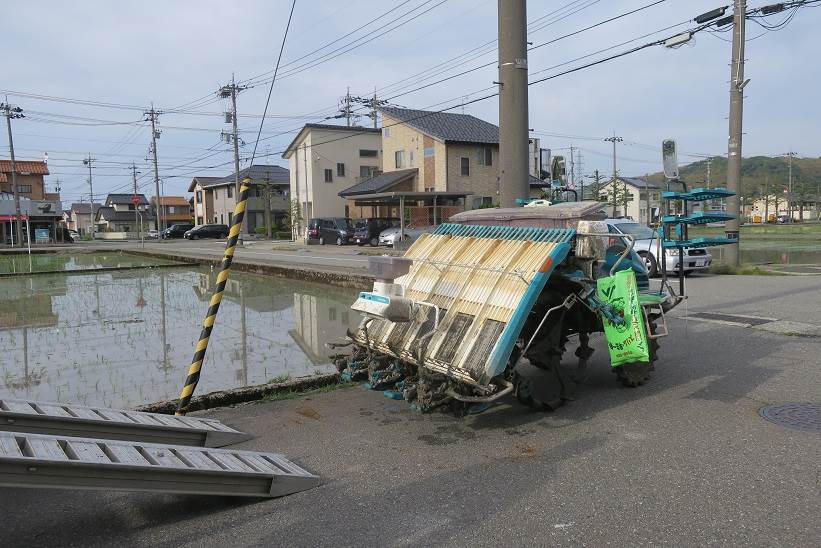 田植え